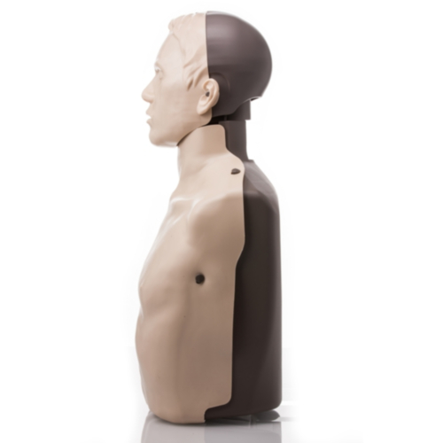 Brayden Reanimationsmodell mit roten LEDs - 3392