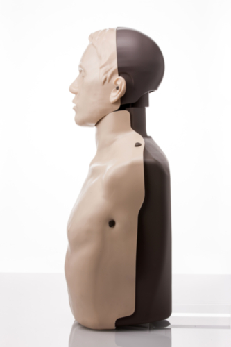 Brayden Reanimationsmodell mit weißen LEDs - 5376